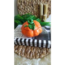 PremiumPort Şık Kapaklı Kabak Şekerlik ve Baharatlık Seti, Zarif ve Kullanışlı Tasarım