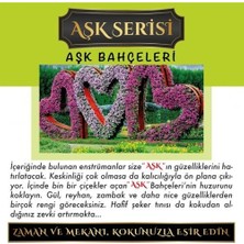 Koku Hanem Toptan Meczub Aşk Serisi Aşk Bahçeleri 10 Adet 8 ml Silindir Şişe Oto Kokusu Araç Araba Parfümü