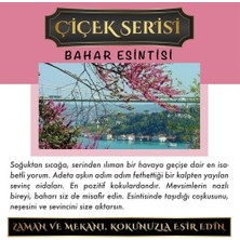 Koku Hanem Toptan Meczub Çiçek Serisi Bahar Esintisi 10 Adet 8 ml Silindir Şişe Oto Kokusu Araç Araba Parfümü
