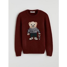 Bisiklet Yaka Ayı Teddy Desenli Erkek Çocuk Triko Kazak
