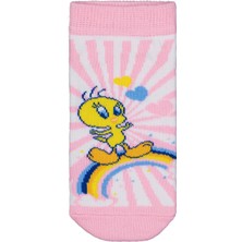 Tweety 2-12 Yaş Kız Patik Çorap - Standart 12-13 Yaş