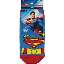 Superman Süperman 2-12 Yaş Erkek Patik Çorap - Standart 12-13 Yaş