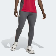 Adidas Performance KB1469 Liverpool FC Tiro 25 Competition Training Pants