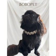 Bobo Pet Örgü Taşlı Kedi & Köpek Kolyesi