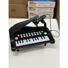 BNG STR 25 Tuşlu Mikrofonlu Minyatür Piyano Müzik Ses Efektleri 29 cm Mini Org