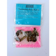 Çapari Av Kaya Tuzlu Boru Kurdu – 5 Paketli Set