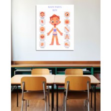 43 Cici Süsler Organizasyon Vücudun Bölümleri Okul Poster Ingilizce Pvc Kaplı 30X42 cm Erkek