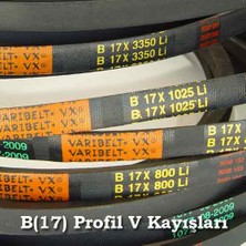17X750 Düz V Kayış