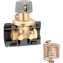 Caleffi 140462 - DN25 Fark Basınç Kontrol Vanası, 250-600MBAR