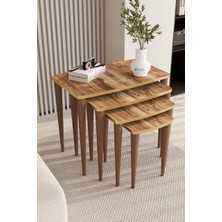 Vena Series, Ceviz 4'lü Zigon Sehpa Takımı, 1.sınıf Lak Panel Tabla, Gürgen Ayaklar