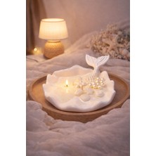 Pam Candle Sedef Deniz Kabuğu Dekoratif Mum | El Yapımı Soya Wax Ev, Stüdyo & Spa Mumu (Okyanus Kokulu)