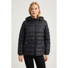 Home Store Puffer Mont