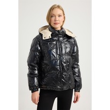 Home Store Puffer Mont