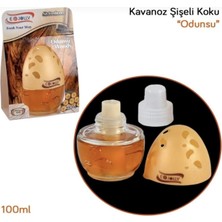 Point Kavanoz Şişeli Oto ve Oda Kokusu Odunsu 100ML 1 Adet