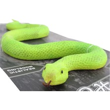 bebekokusu Strech Yeşil Asya Yılanı