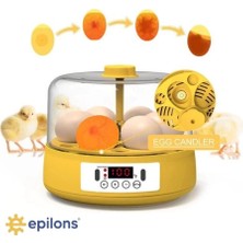 Eco Lounge Mini Otomatik Ev Tipi Kuluçka: Elektrikli Tavuk ve Kuş Kuluçka Makinesi 6 Yumurtalı Mx-6