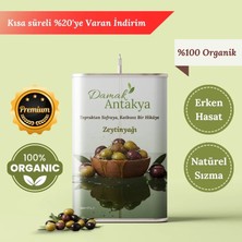 Damak Antakya Erken Hasat Soğuk Sıkım Naturel Sızma - 18 Lt Teneke