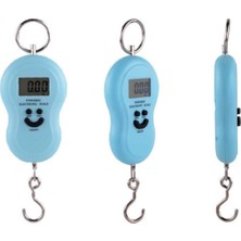 Rigour Dijital Elektronik El Kantarı 50 kg Terazi Tartı 10 gr Hassas - Hassas Terazi - 4 Ay