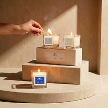 Penelope 3'lü Mum Seti (No.09, No.81, No.93)