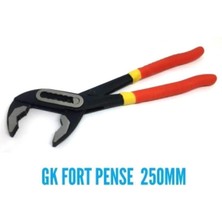 Rigour Eng Ayarlı Fort Pense Ford Papağan Pense 250 mm