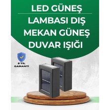 Mestore Şeffaf Abajurlu Duvar Tipi Solar Işık