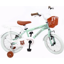 Feyza Design Çocuklar Için 16 Jant Bisiklet, Eğlenceli ve Güvenli Sürüş Keyfi