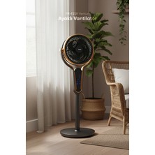 Fressi FR-F25R Venturi 3 Kademe Hız Ayarlı Kumandalı Antrasit Van