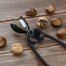 Eco Lounge 2'si 1 Arada Kestane Çizici ve Ceviz Kıracağı