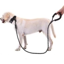 Eco Lounge Reflektörlü Köpek Tasması 130 Cm.