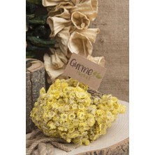 Gurme Market Altın Otu 1 Demet