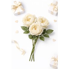 BRANDSMITHS Gerçekçi Görünümlü Yapay Krem Gül