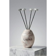 Liatris Kahverengi-Sun Çubuklu Oda Kokusu 100 ml