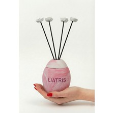 Liatris Kırmızı-Mars Çubuklu Oda Kokusu 100 ml