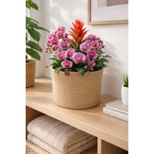Soft Home Jüt Organşzer Sepet /saksı Kılıfı