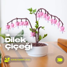 3D Print Marketim Şans ve Dilek Çiçeği