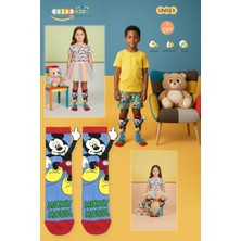 Color Socks 1 Çift Parmak Işaretli Mavi Çizgi Karakterli Çorap (Extra Soft)