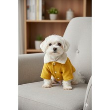 Patilemece Sarı Fitilli Buklet Kürklü Kedi Köpek Montu