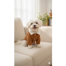 Patilemece Kahverengi Fitilli Buklet Kürklü Kedi Köpek Montu