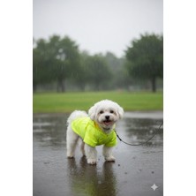 Patilemece Açık Yeşil Su İtici Kumaş İçi Wellsoft Kedi Köpek Montu