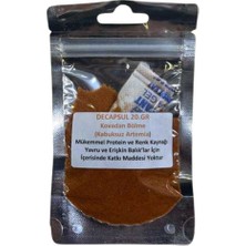 Rotifish Decapsul Artemia Yavru Yemi 20 gr