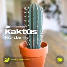 3D Print Marketim Kaktüs Kürdanlık