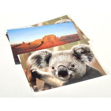 Ekol Foto Angelphoto  100 Adet 10X15 Fotoğraf Baskısıı Baskı