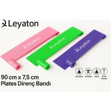 Feyza Design 3'lü Pilates ve Plates Direnç Lastiği Seti, Egzersiz Için Ideal