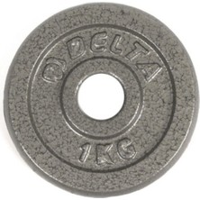 Feyza Design 25,4 mm Çapında Parlak Gri Döküm Plaka, 2 Kg, 2 Adet Set