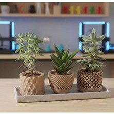 3D Boyuthane Dekoratif Saksı Seti (3’lü)