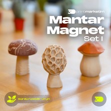 3D Print Marketim Mantar Buzdolabı Magnet Süsü ve Not Tutacağı