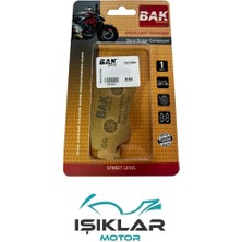 Segway Snarler 570 Bak Arka Fren Balata Sinterli IBK0256