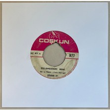 Coşkun Plak Şükran Ay Özlemedinmi Beni - Kırdın Beni Sözlerinle  45 Lik Plak (Orijinal Dönem Baskı)