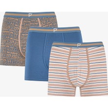 Penti Erkek Renkli City Grid Çoklu Boxer
