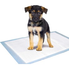 Braventa Collection Yavru Köpek Çiş Pedi S 45X35 cm 10'lu